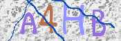 CAPTCHA kép